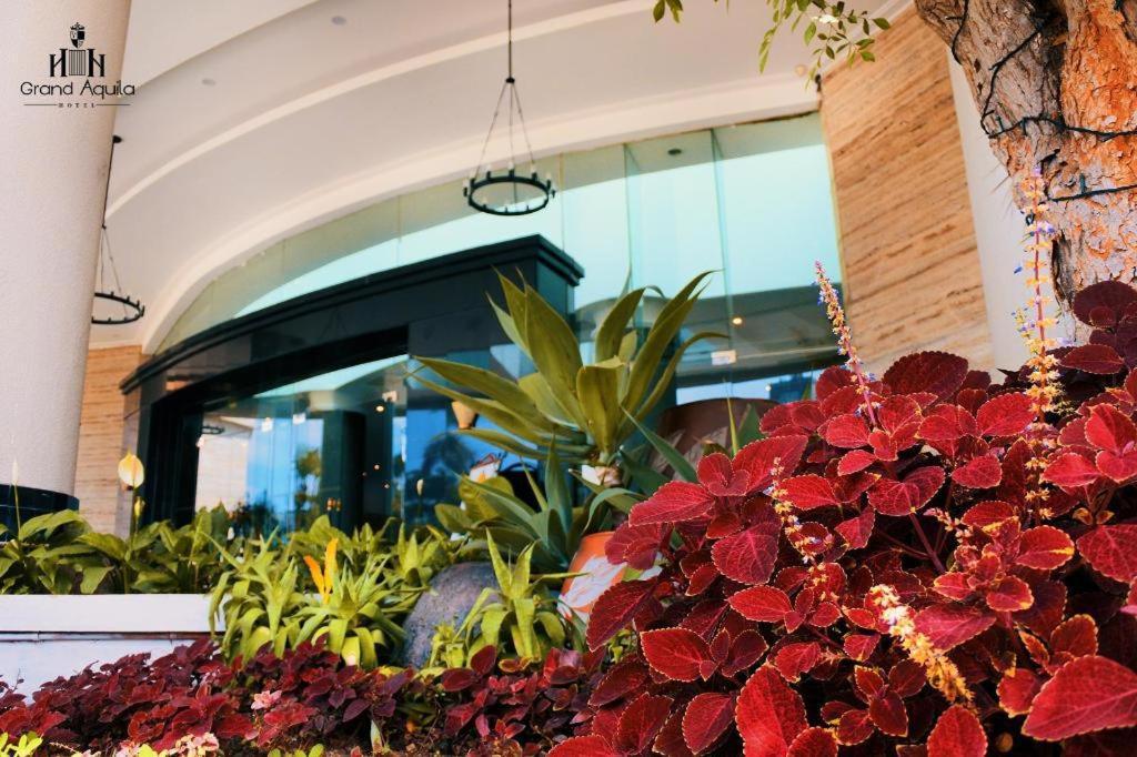 Artotel Suites Aquila Bandung Exterior foto